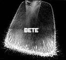 BETE IS NOZUL